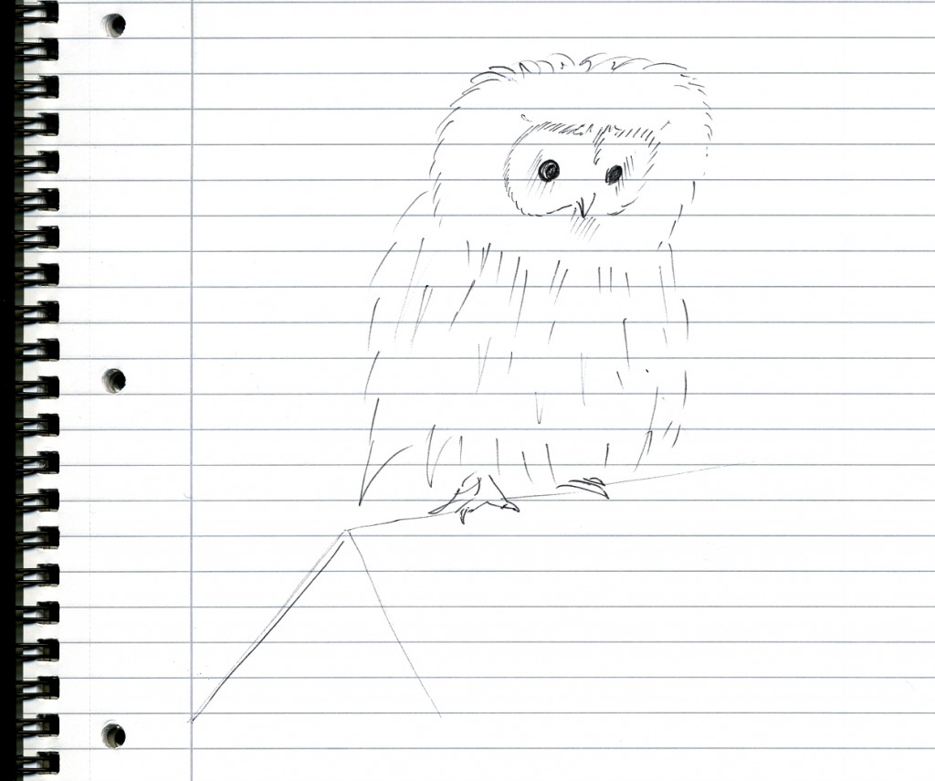 Artists impression